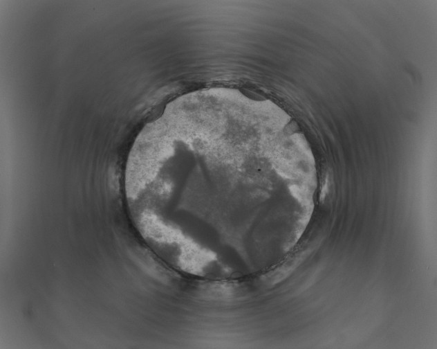 X0000111240282200907301312