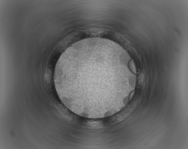X0000111240283200907301312