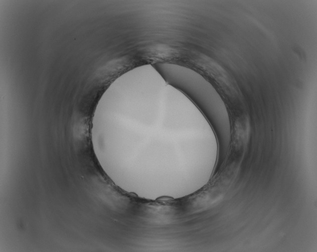 X0000111240284200907301312