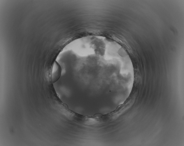 X0000111240285200907301312