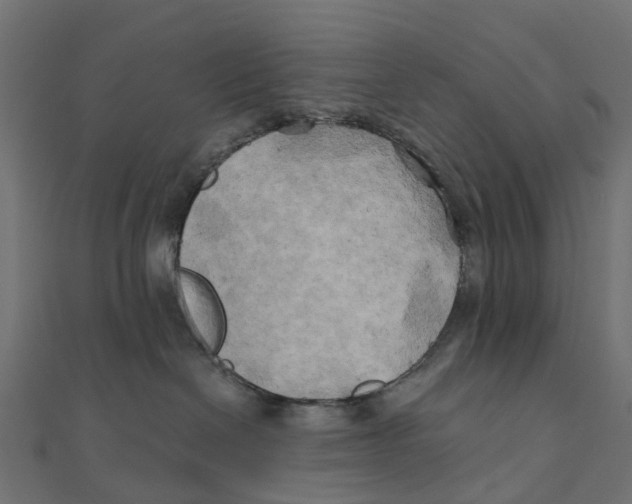 X0000111240286200907301312