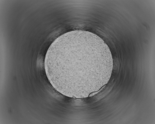 X0000111240287200907301313