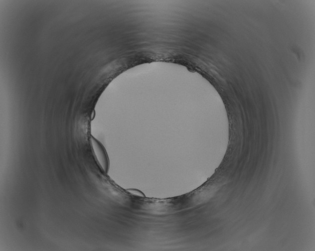 X0000111240288200907301313