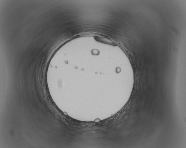 X0000111240289200907301312