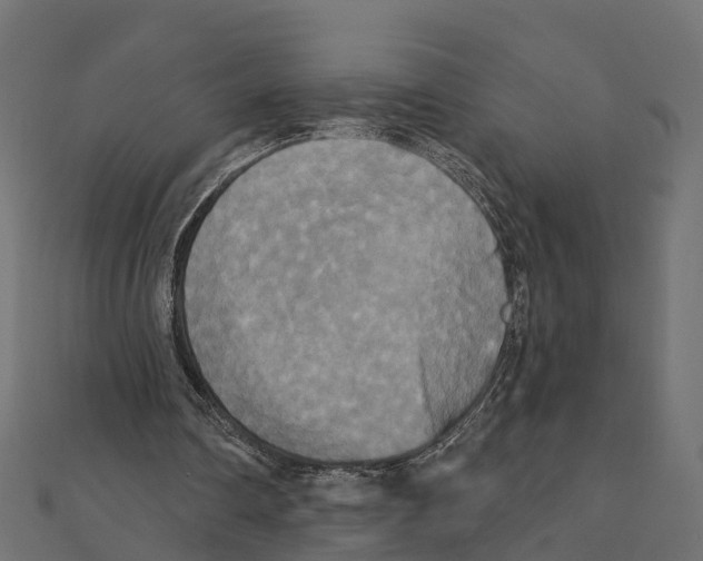 X0000111240290200907301312