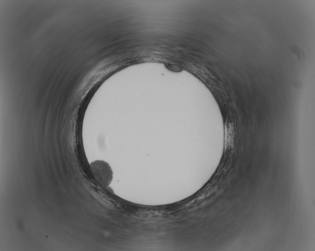 X0000111240291200907301312