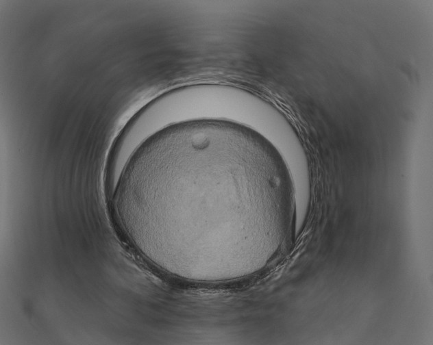 X0000111240292200907301312
