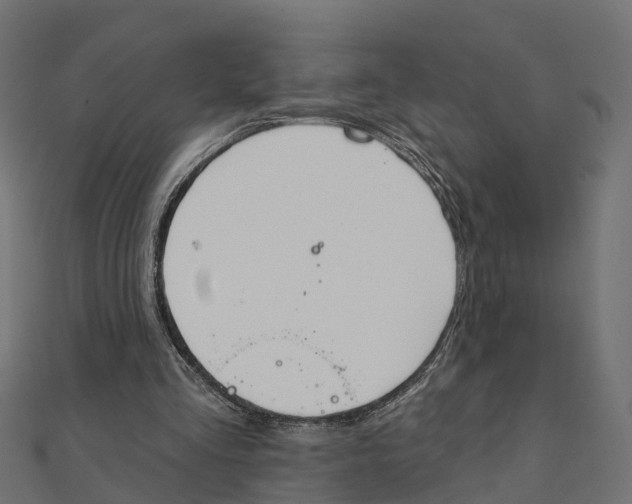 X0000111240293200907301312