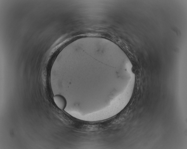 X0000111240295200907301312