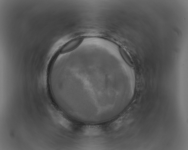 X0000111240296200907301312