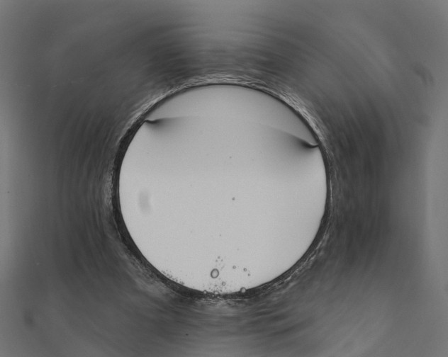X0000111240297200907301312