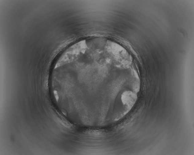 X0000111240299200907301312