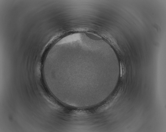 X0000111240300200907301312