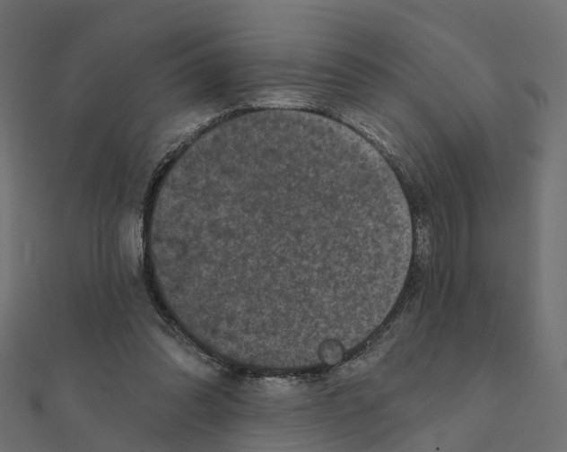 X0000111240302200907301312