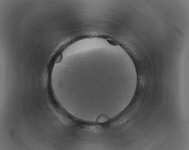 X0000111240304200907301312