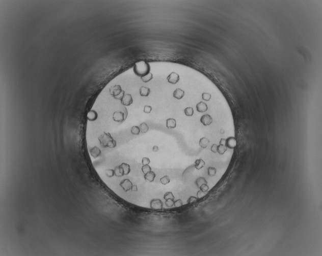 X0000111240305200907301312