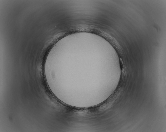 X0000111240306200907301312