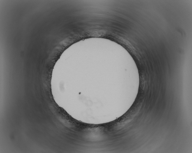 X0000111240307200907301312