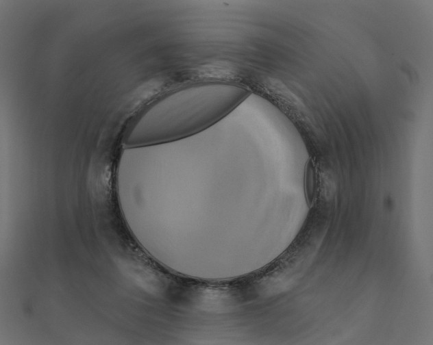 X0000111240308200907301312