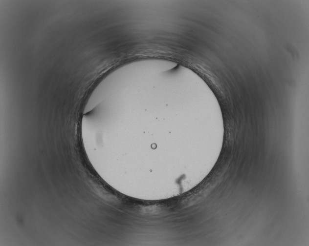 X0000111240309200907301312