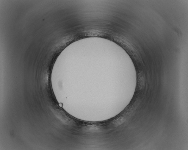 X0000111240310200907301312