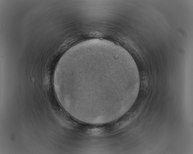 X0000111240312200907301312