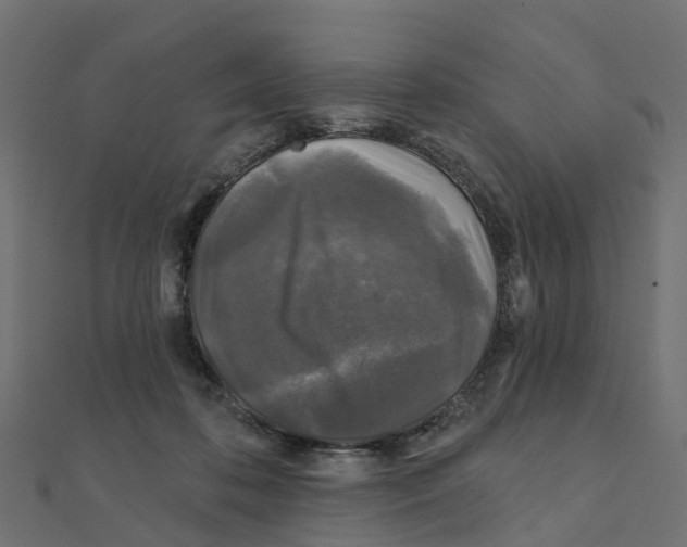 X0000111240316200907301312
