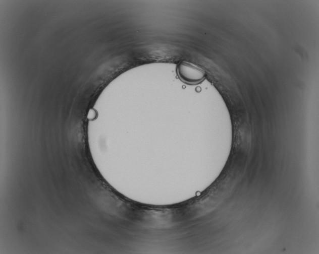 X0000111240317200907301312