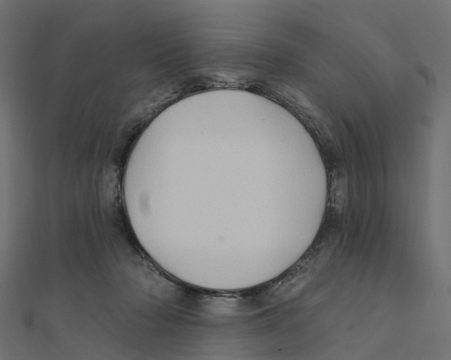 X0000111240318200907301312