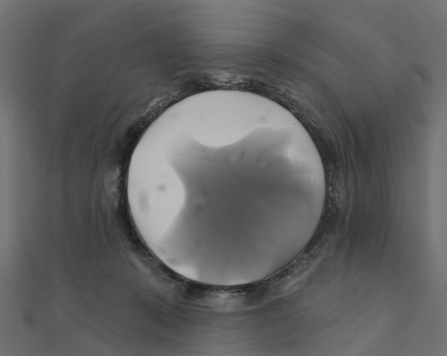 X0000111240319200907301312
