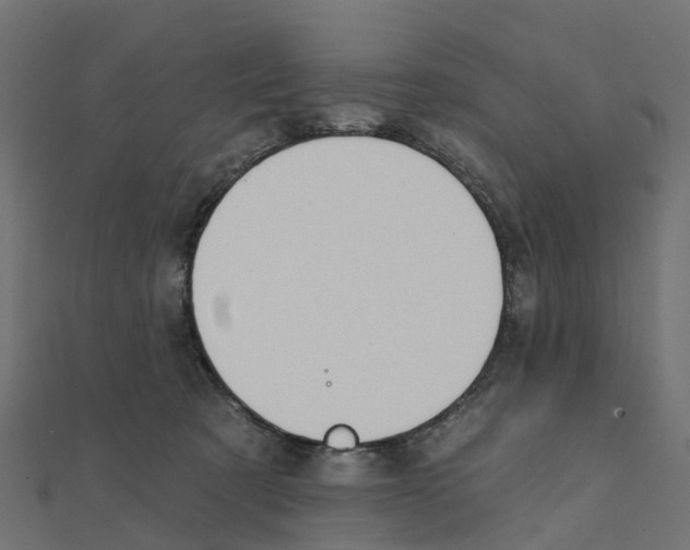 X0000111240321200907301311