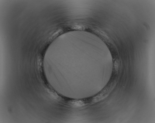 X0000111240322200907301311