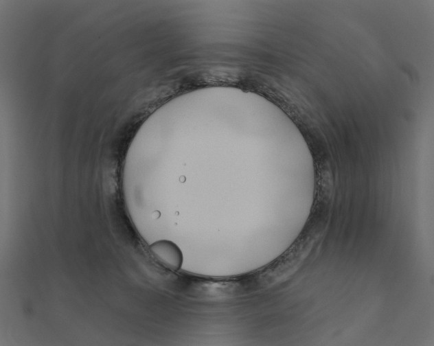 X0000111240323200907301311