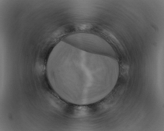 X0000111240324200907301311