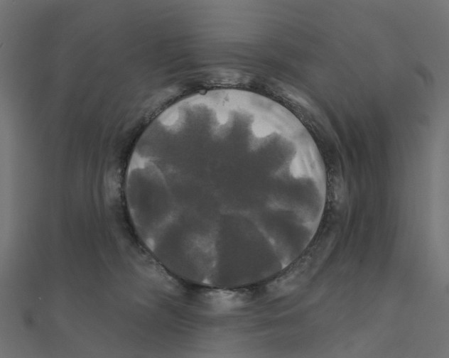 X0000111240326200907301311