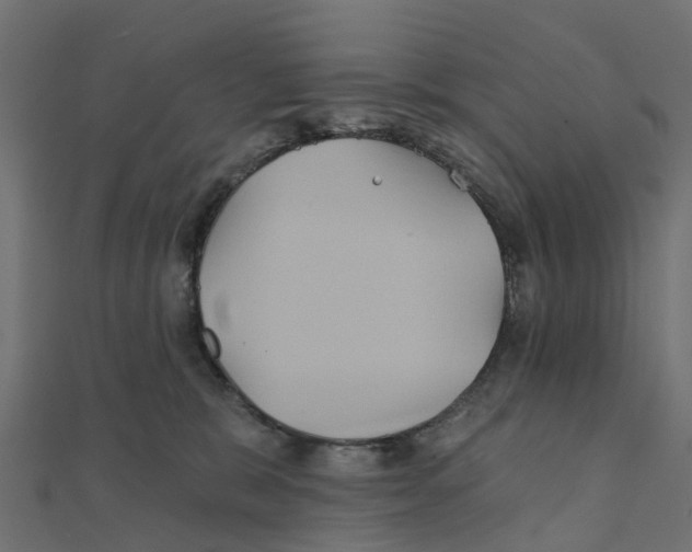 X0000111240327200907301311