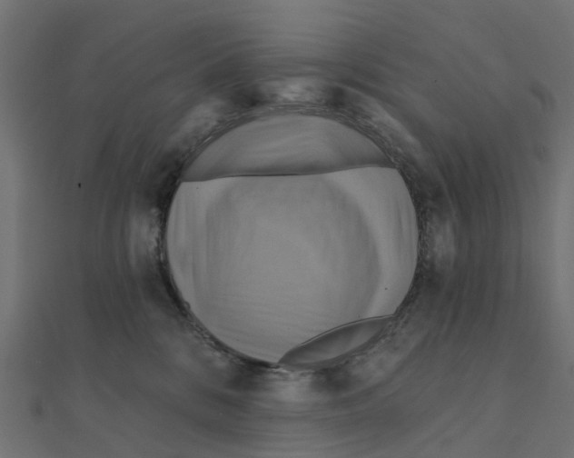X0000111240328200907301311