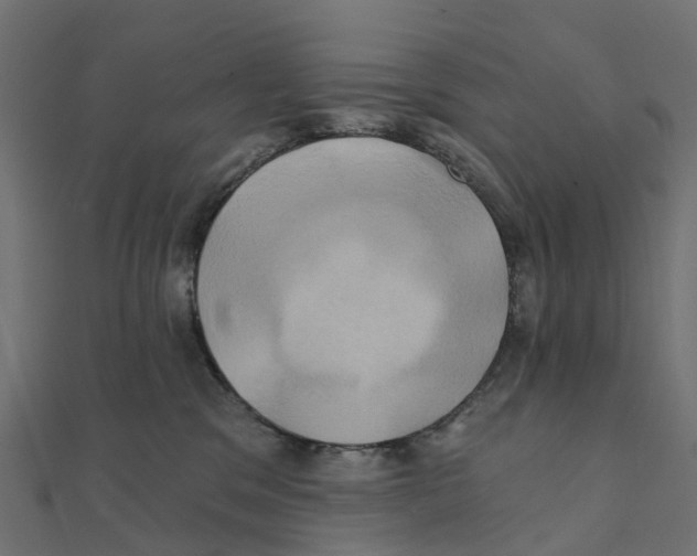 X0000111240329200907301311