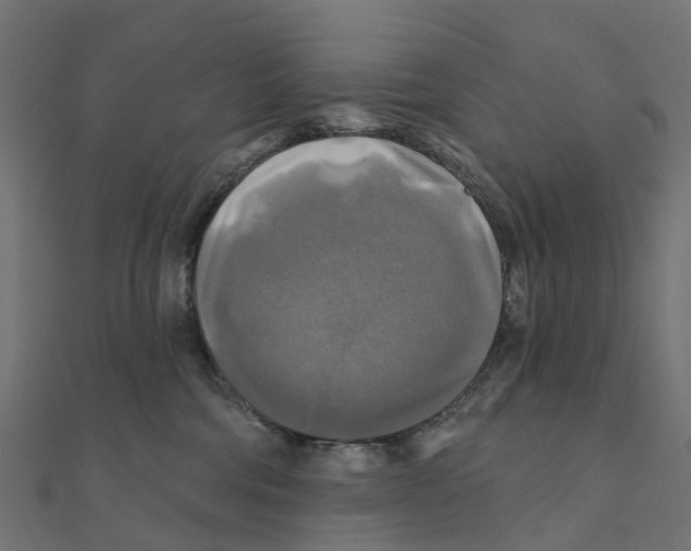 X0000111240330200907301311