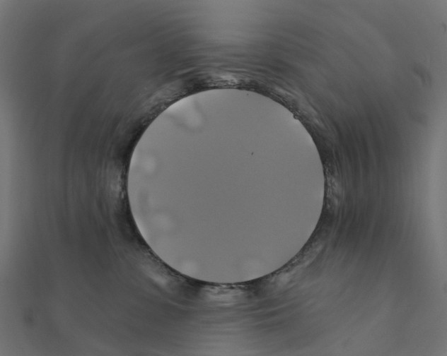 X0000111240331200907301311