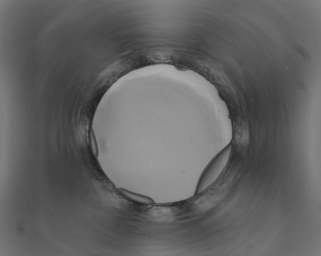 X0000111240332200907301311
