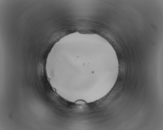 X0000111240333200907301311