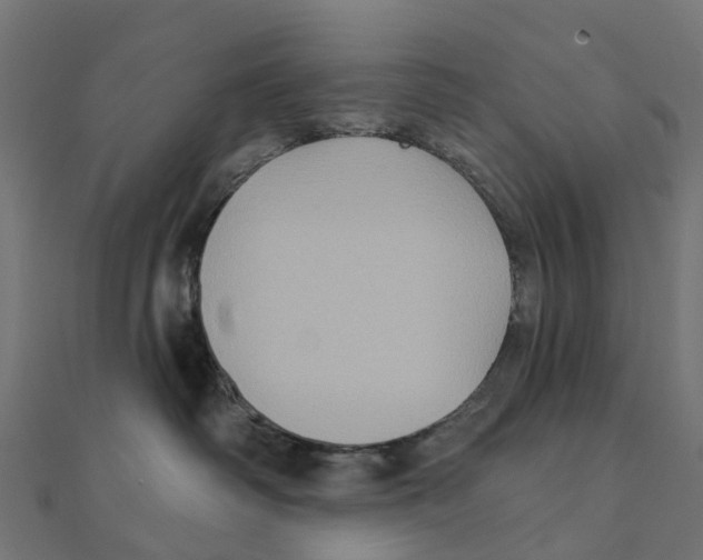 X0000111240334200907301311