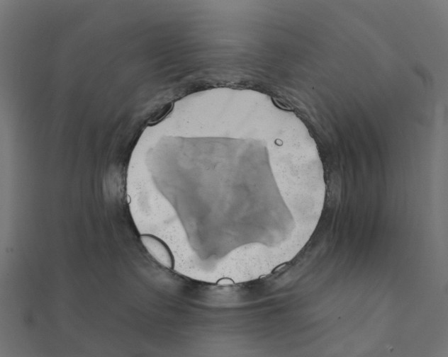 X0000111240335200907301311