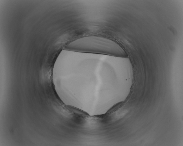 X0000111240336200907301311