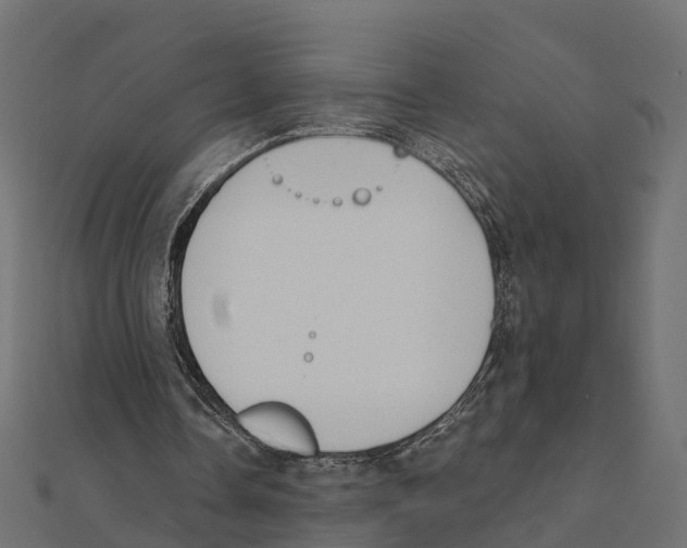 X0000111240338200907301311