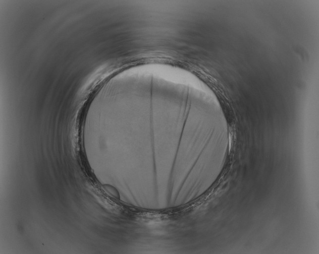X0000111240339200907301311