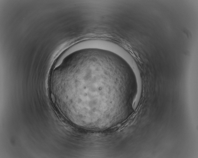 X0000111240340200907301311