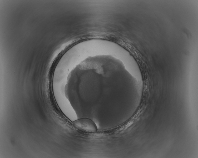 X0000111240342200907301311