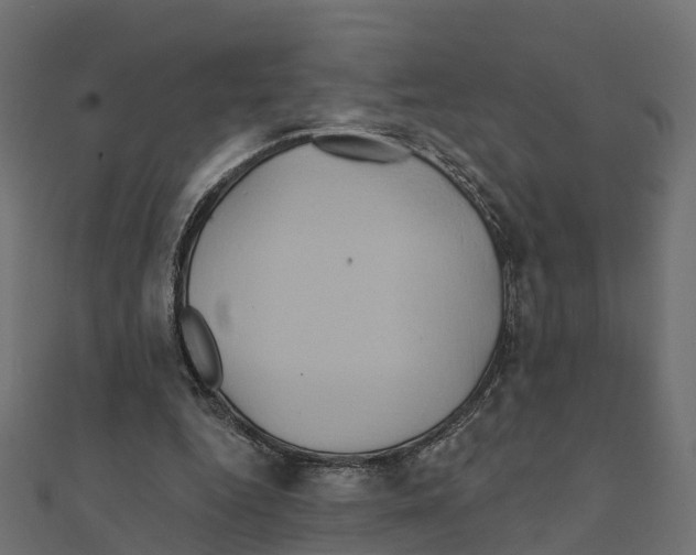 X0000111240344200907301311